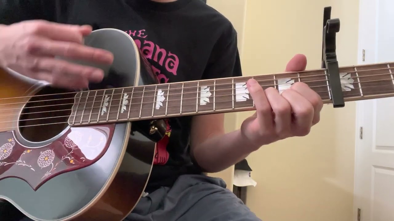 Long, Long, Long By The Beatles Guitar Lesson