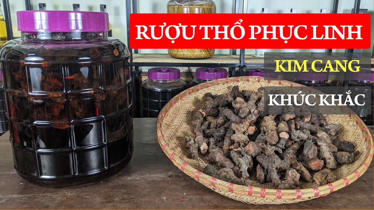 Rượu Thổ Phục Linh hương thơm dịu ngọt, bổ gan, Giải độc cơ thể, điều trị tê thấp đau nhức