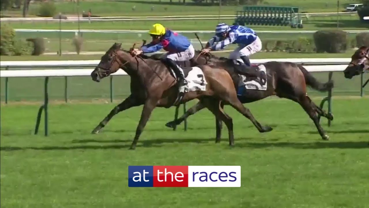 SAUTERNE strikes gold in the Group 1 Prix du Moulin as hot favourite Big Rock is beaten!