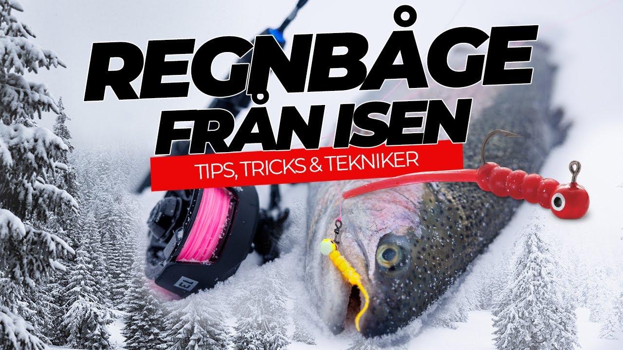 Regnbågsfiske från isen – galet kul och effektivt fiske!