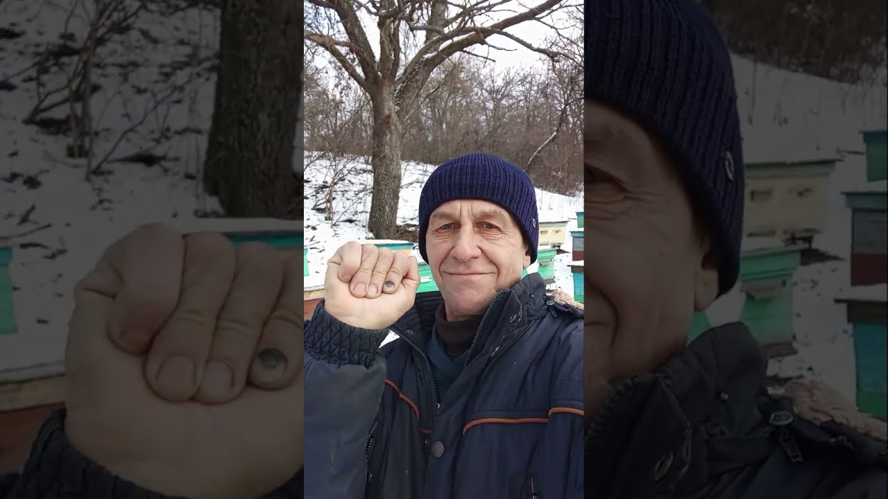 НА ЧТО СПОСОБЕН,ПЧЕЛИНЫЙ КЛУБ, В З ИМНИЙ  ПЕРИУД??!!!🐝🐝🤘