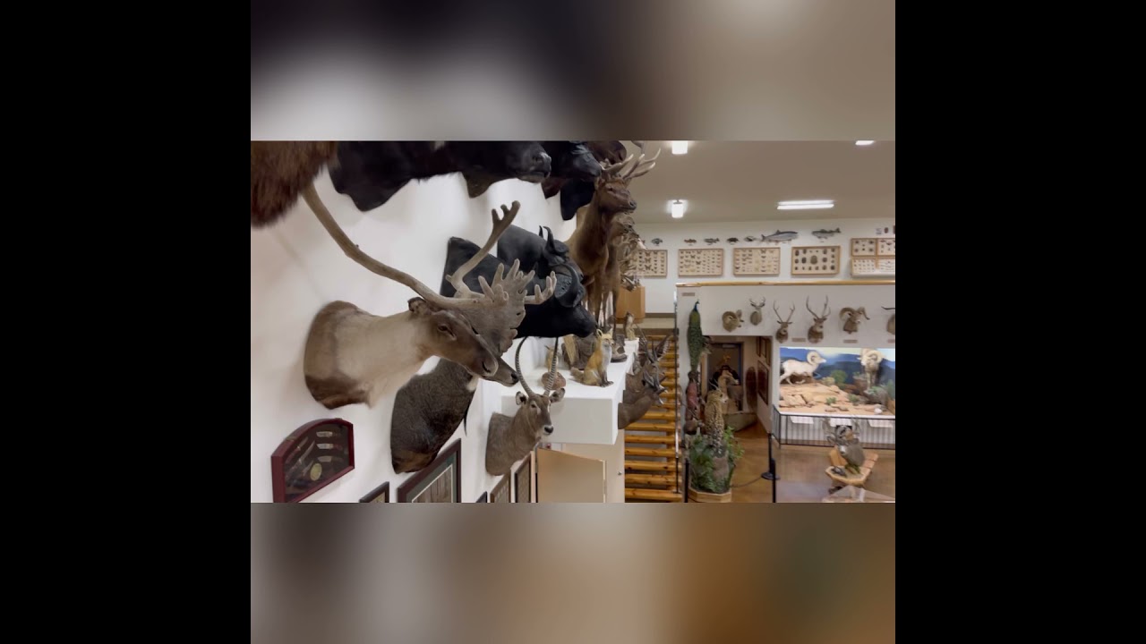 Bryce Wildlife Adventure Near Bryce Canyon