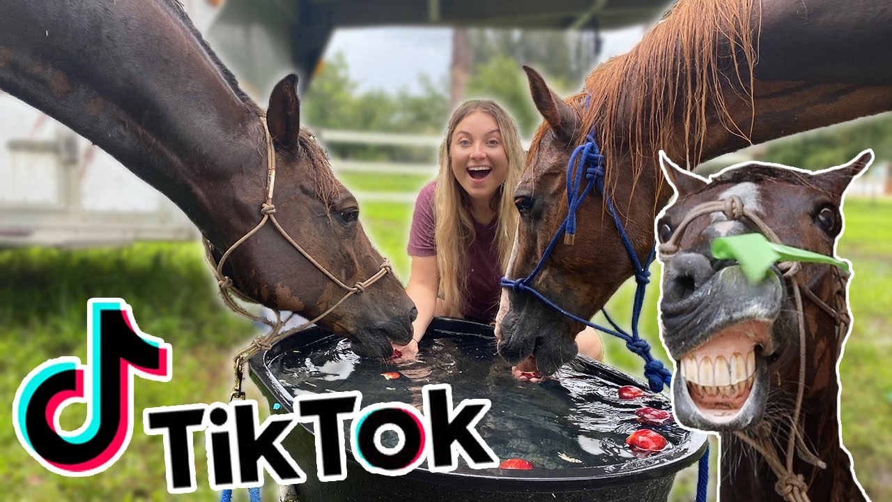 Recreating EQUESTRIAN TIKTOKS! PART 4!!