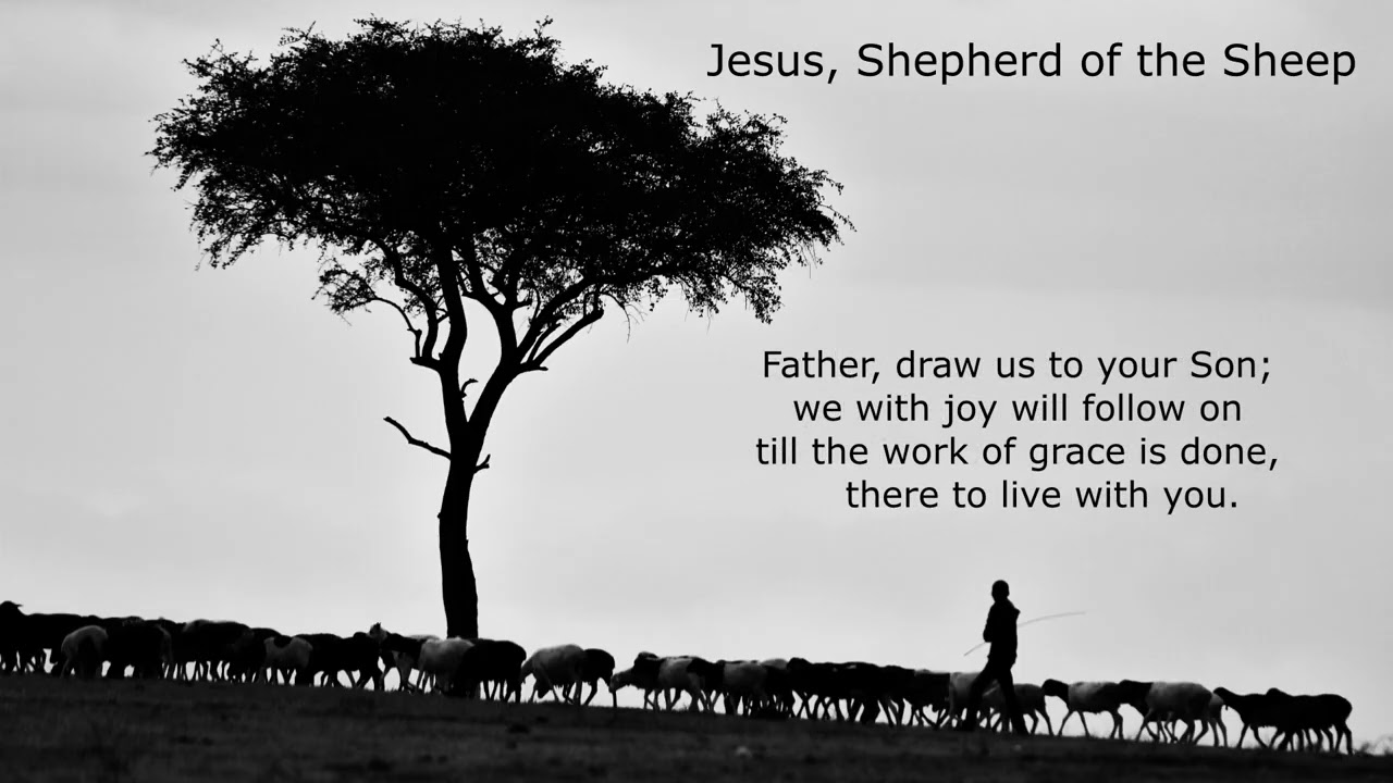 Jesus Shepherd of the Sheep