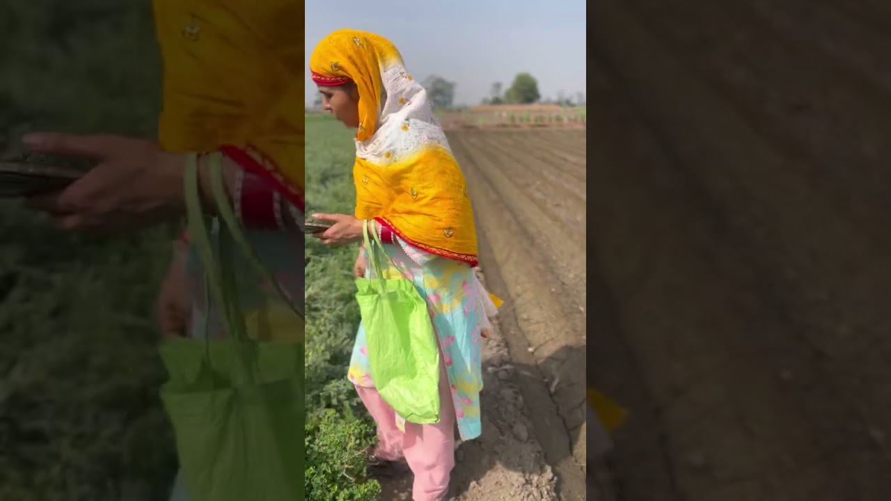 ਜੇਠਾਣੀ ਦੇਰਾਣੀ 💕ਦਾ ਚਾਅ ਹੋਇਆ ਪੂਰਾ ❤️💕#subscribe #comment #like ❤️💕🙏🏻