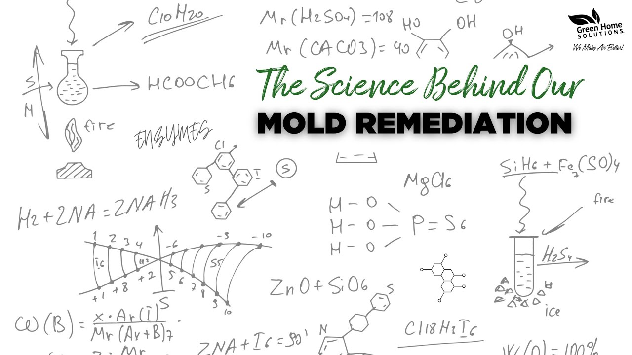 Green Home Solutions - Mold Remediation Science