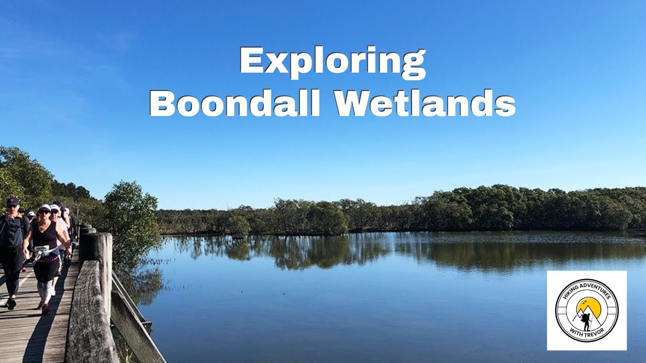 Exploring Boondall Wetlands