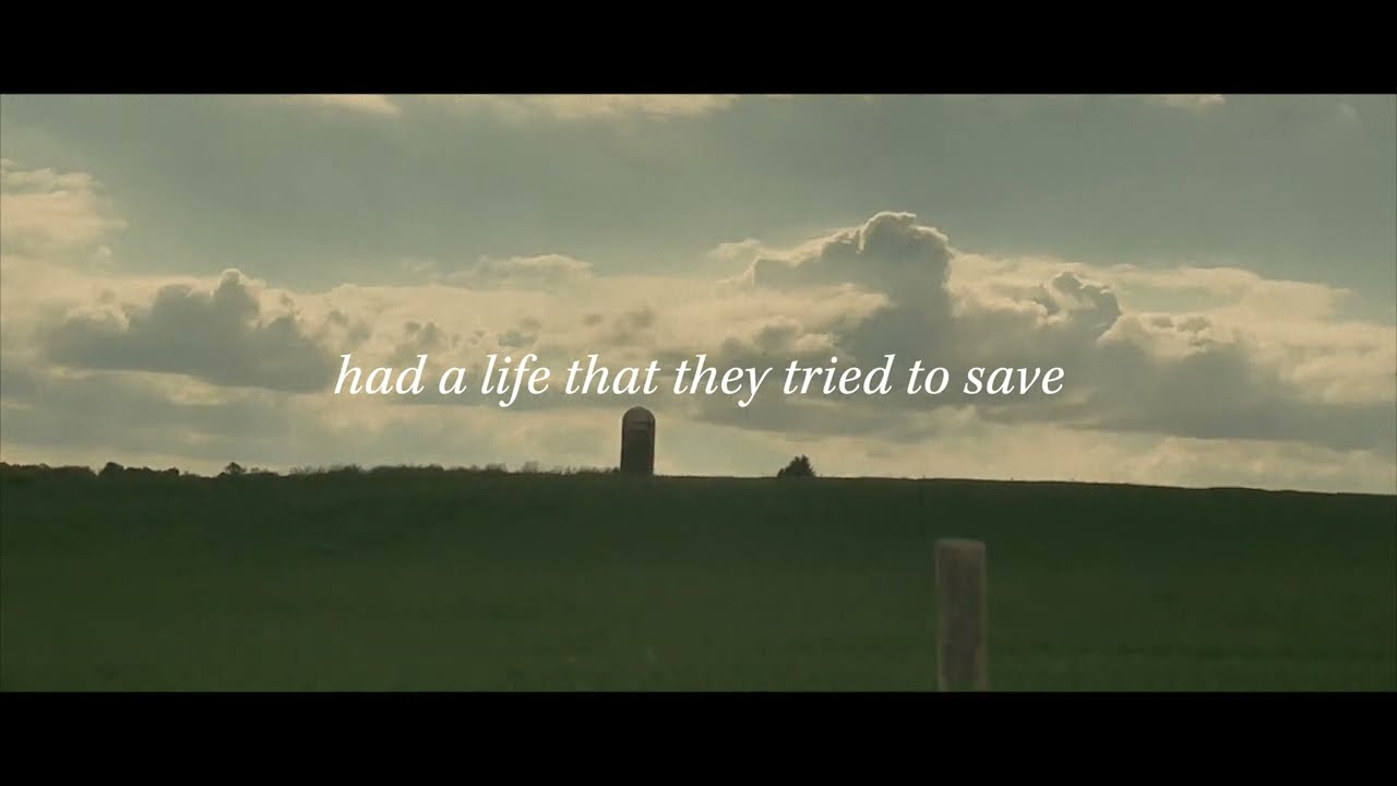 Torn Screen Door - David Francey (Lyric Video)