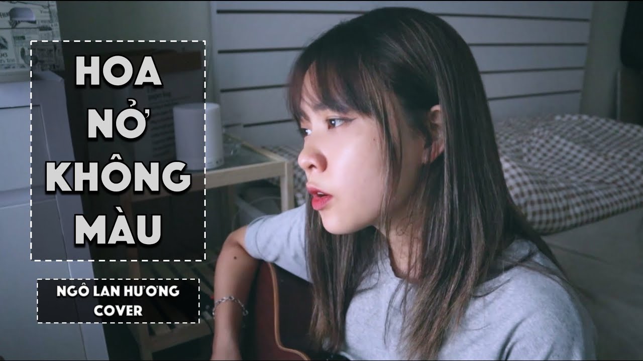 HOA NỞ KHÔNG MÀU (HOÀI LÂM) | LIVE COVER | NGÔ LAN HƯƠNG