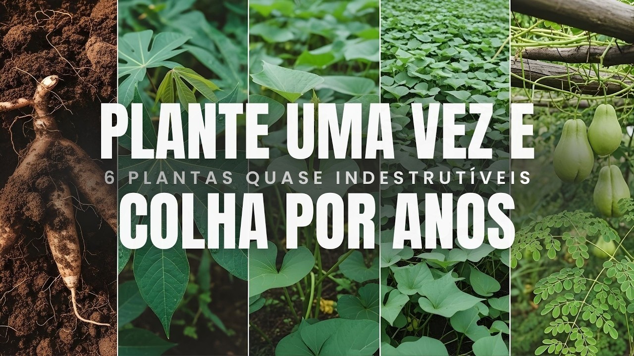 Horta Perene: Plante Uma Vez e Colha por Anos (6 Plantas Quase Indestrutíveis)