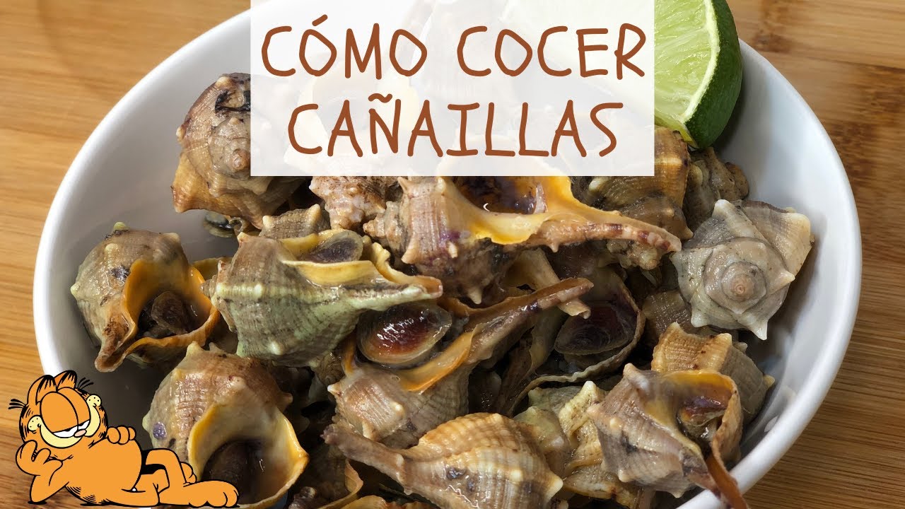 Cómo Cocer Cañaillas 🤤 ¡CARACOLES DE MAR!
