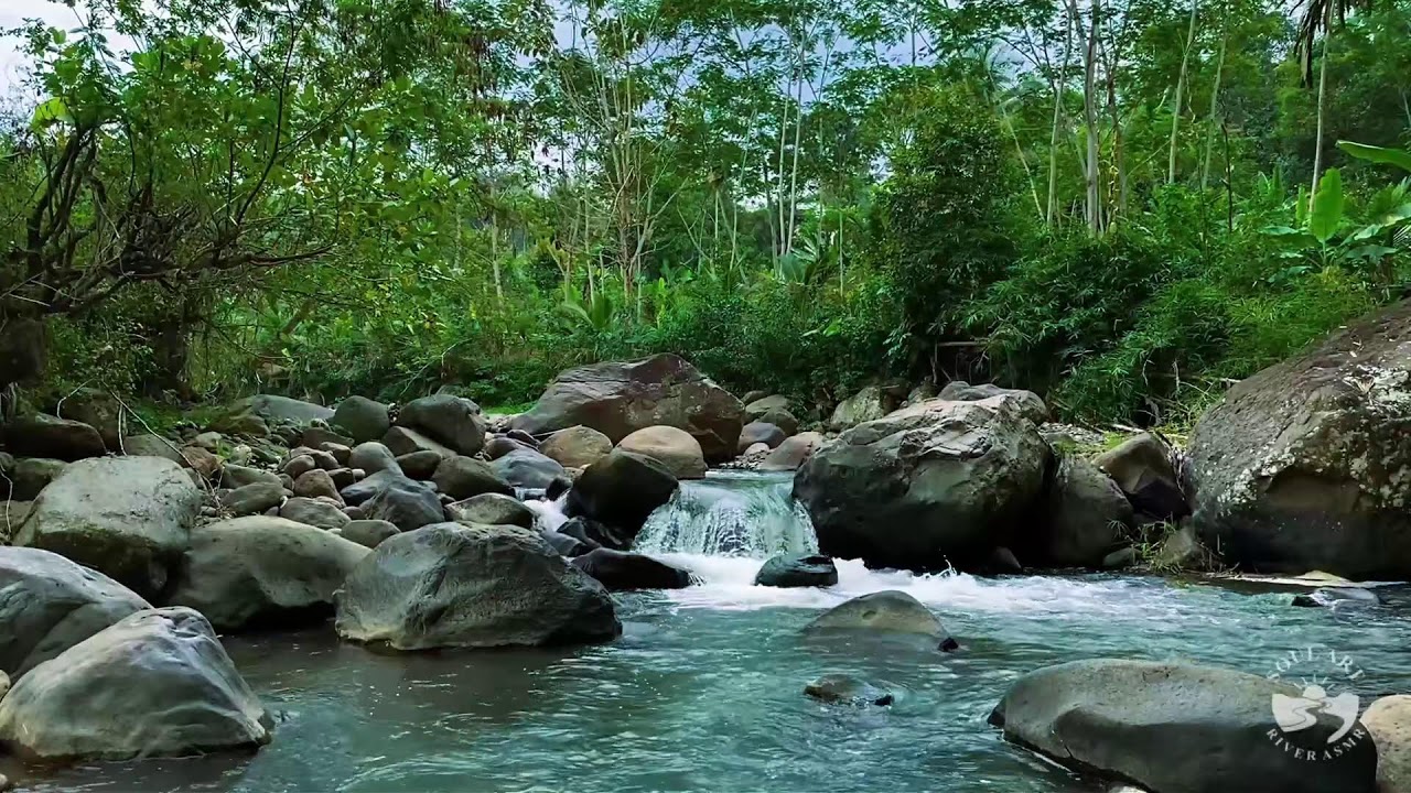 River Sounds & waterfall Sounds for Sleeping | Nature Stream for Relaxing & Stress Relief. #river 1