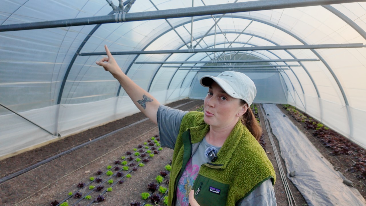 NZ Autumn Market Garden Tour | Compost, Crop Protection, Salad Mix & More!