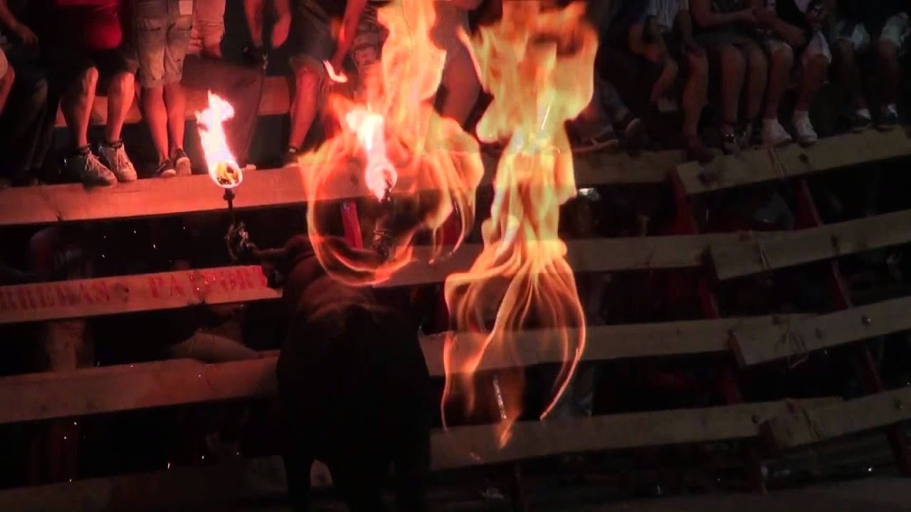 TOROS PAIPORTA - LA VAQUI 2013