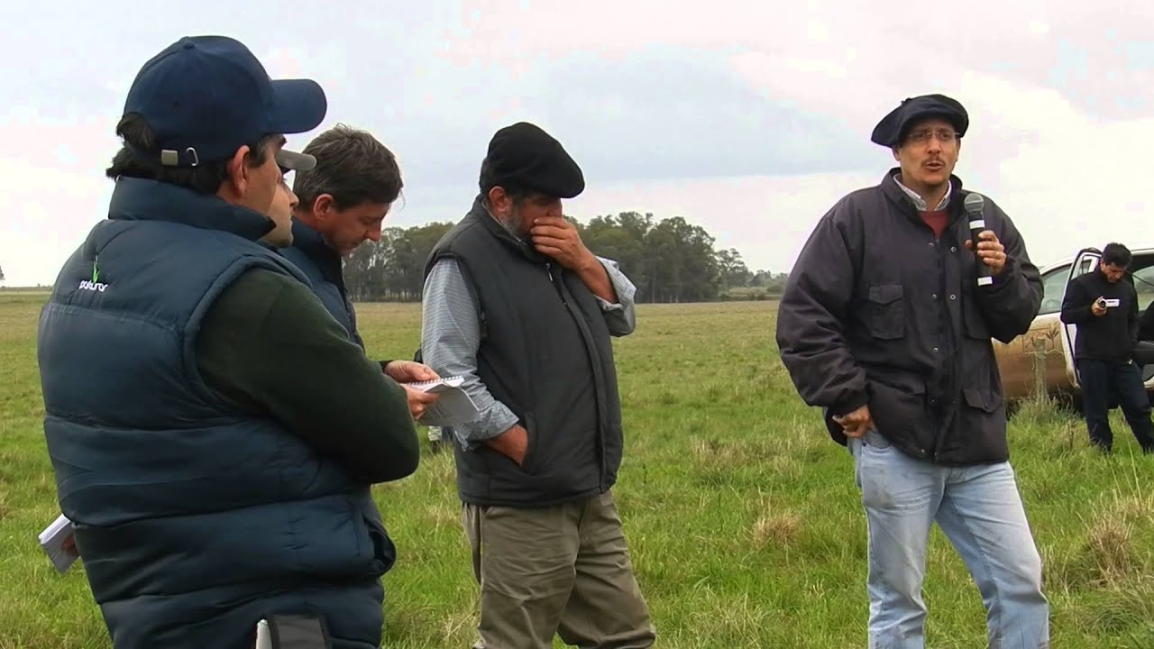 Pasturas 2015 Mejoramiento Campo Natural Ing. Federico De Brum