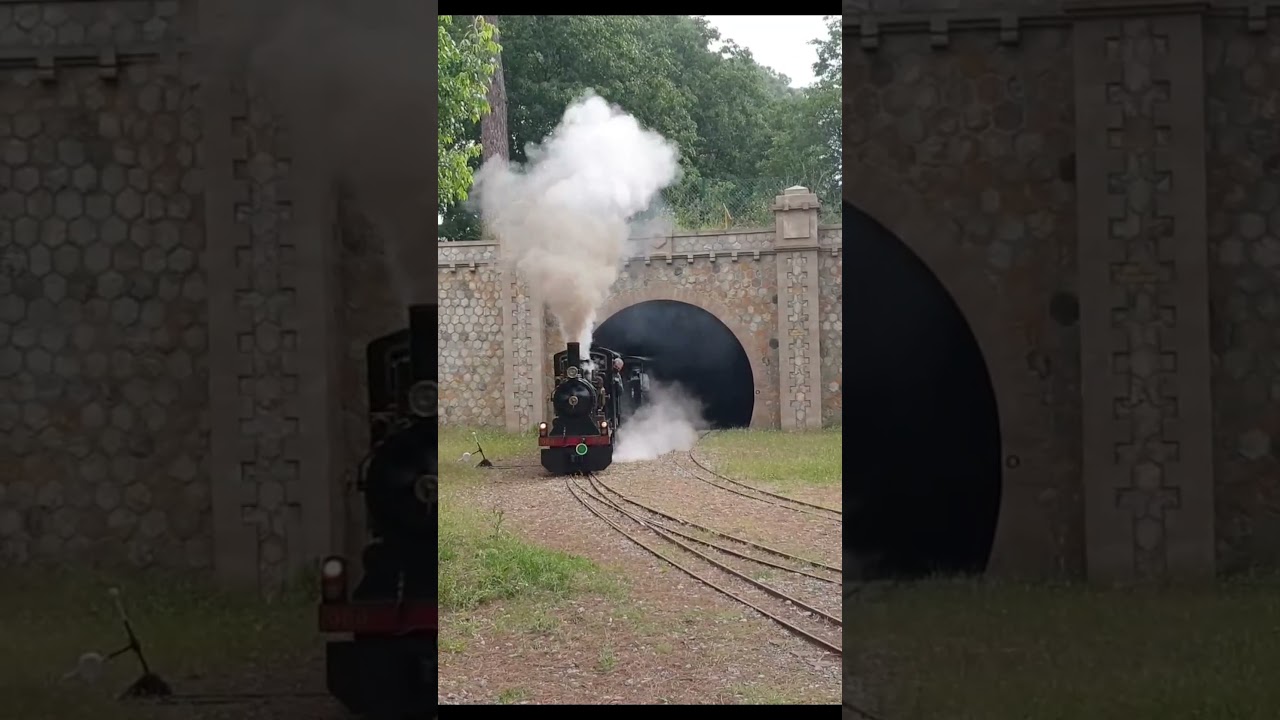 Vapor  en el tren de Palau #shorts #viaestrecha