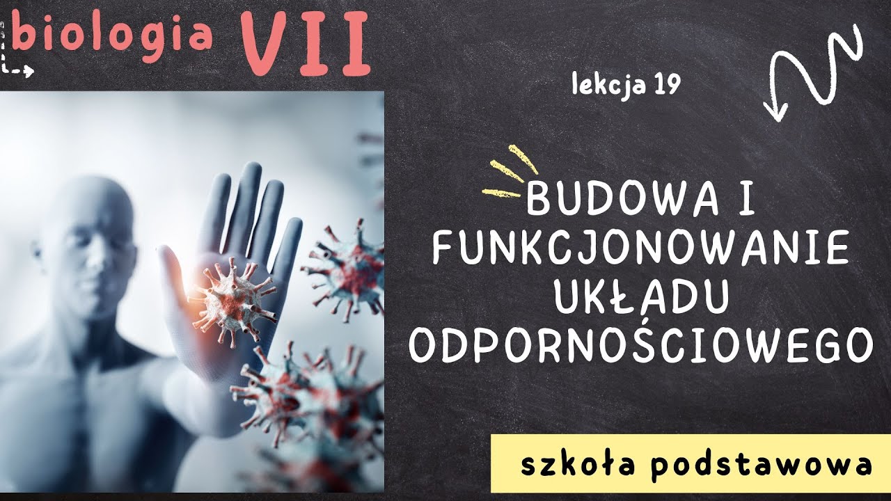 Biologia 7 [Lekcja 19 - Budowa i funkcjonowanie układu odpornościowego]