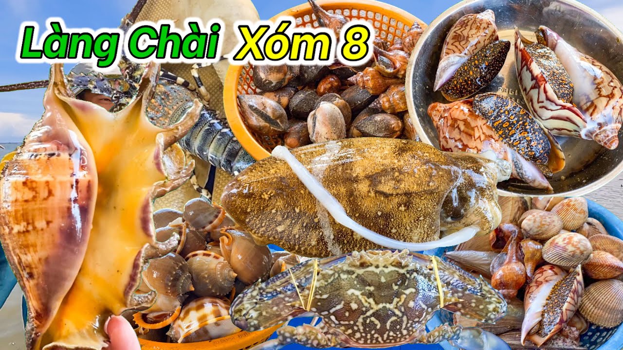 Phát Hiện Làng Chài Ít Người Biết Đến | Quá Trời Hải Sản Tươi Ngon Luôn