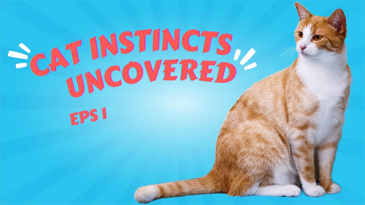 Cat Instincts Uncovered - Episode 1
