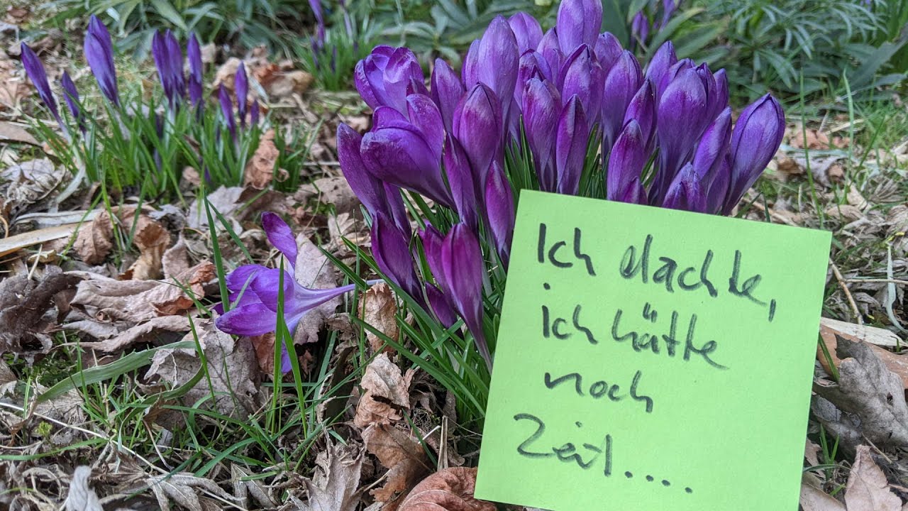 Auswintern, vereinigen, retten - Arbeiten zum Saisonstart
