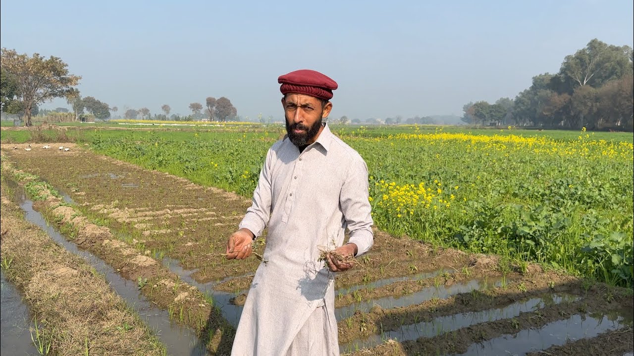 Aaj Bohoot Afsos Howa🥲🥹 | Azmat | Log Aesa Q karty Hain🥹