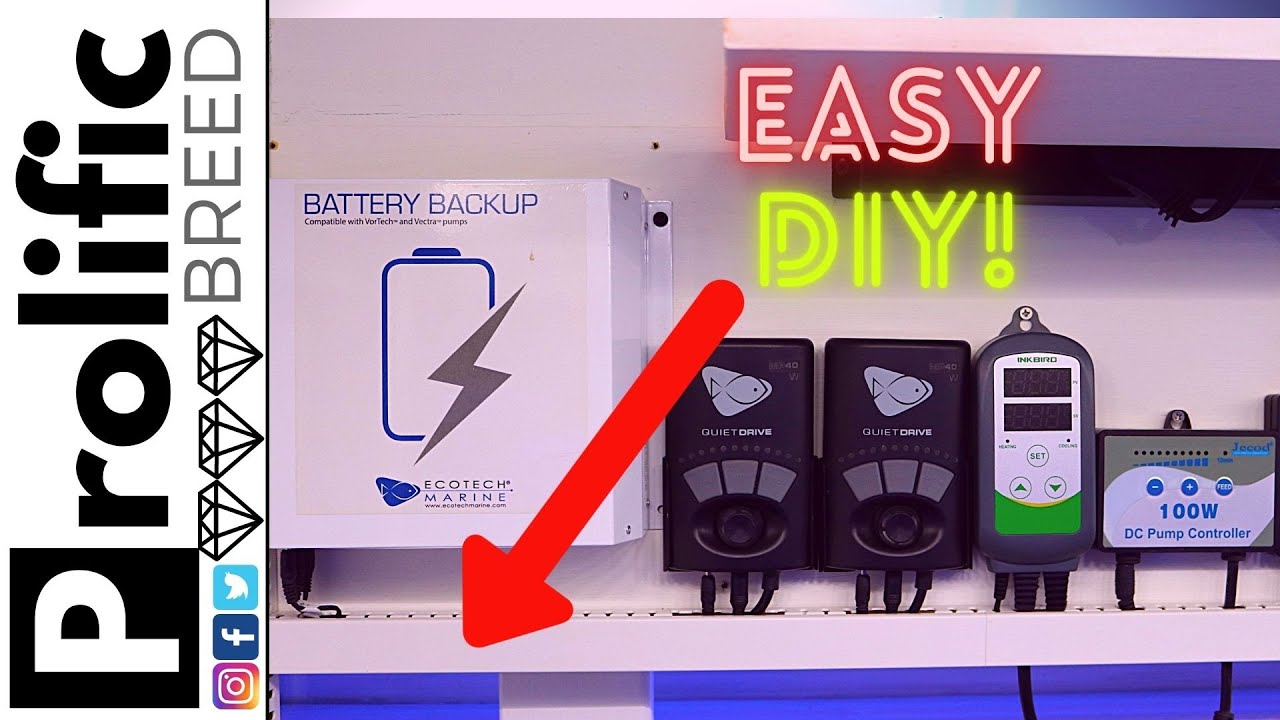 HOW TO ORGANIZE AQUARIUM EQUIPMENT | DIY CONTROLLER BOARD | MIXED REEF TANK BUILD