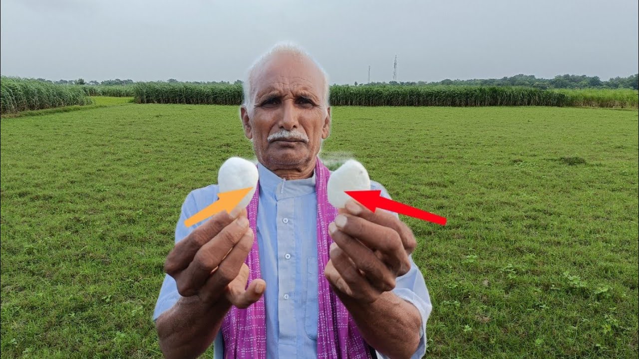 शराब छुड़ाने के लिए जबरदस्त टोटका शराब से हो जाती है दुश्मनी शराब से मुक्ति मिल जाती