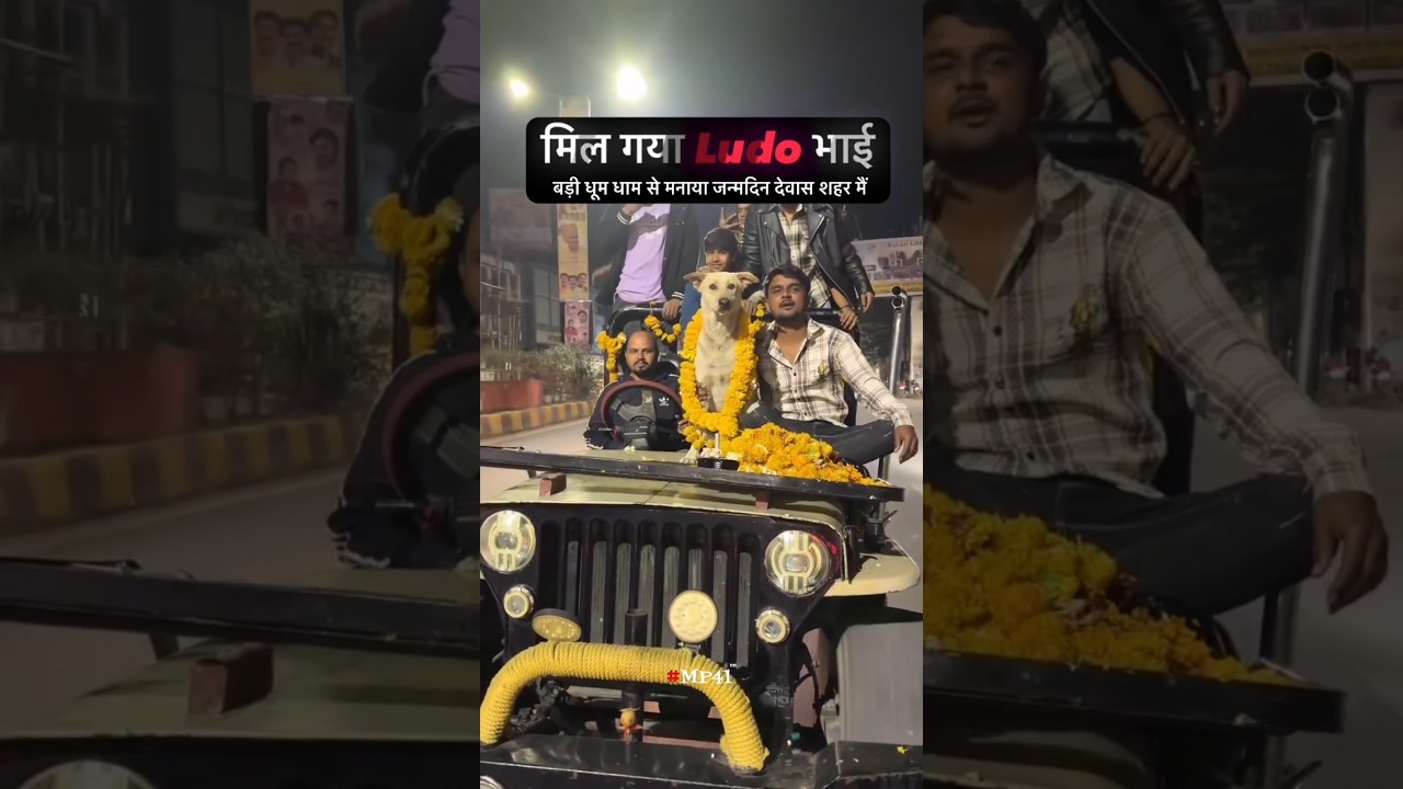 Ludo bhai ki birthday party 🐕 #animallover #animalshorts #animals #doglover #dog #dogshorts #shorts