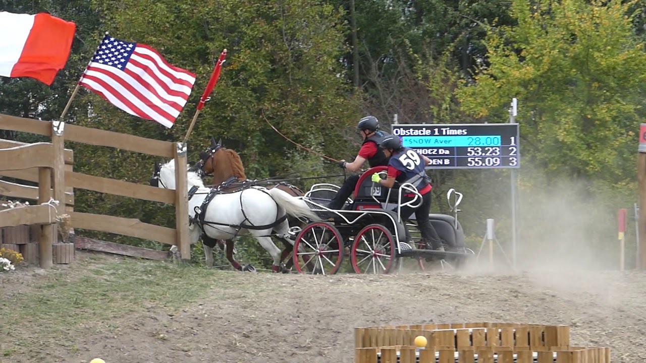 KOHLWEISS Birgit, GER, FEI WCH P1,2,4, Marathon P2, Ob1,28 09 2019