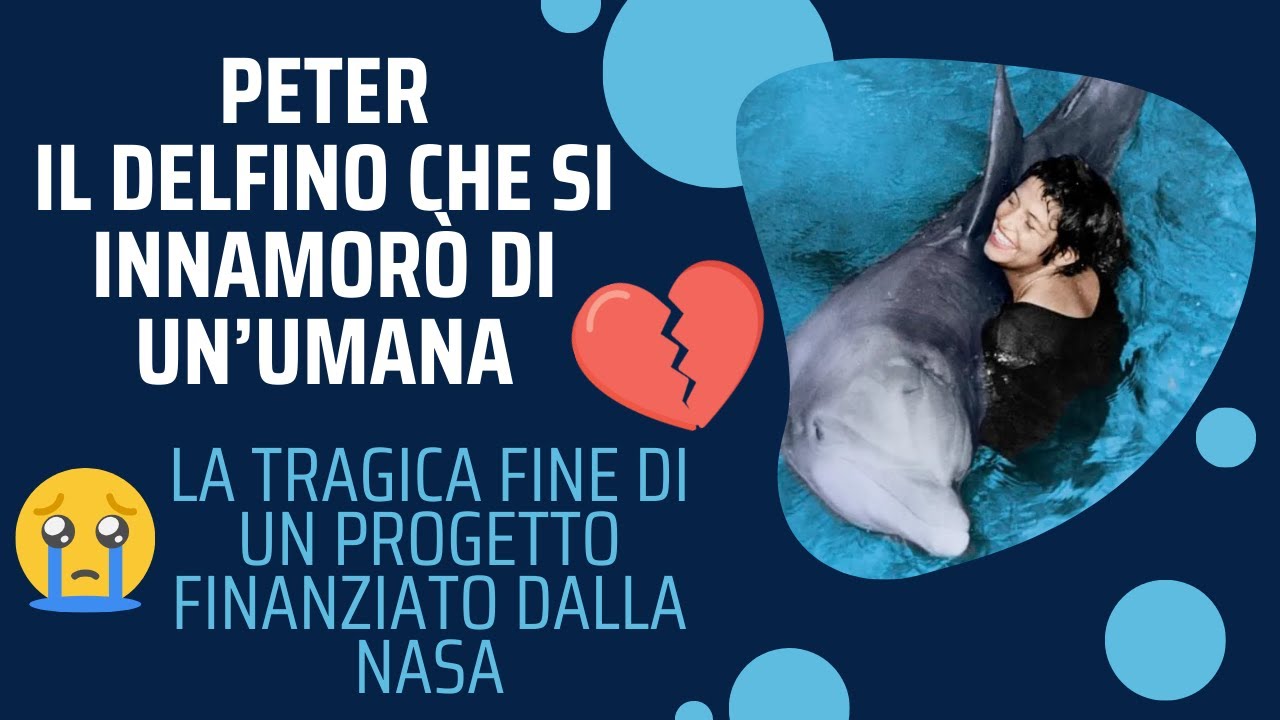 Peter, il delfino che si innamor&ograve; di un&rsquo;umana: la tragica fine di un progetto finanziato dalla Nasa