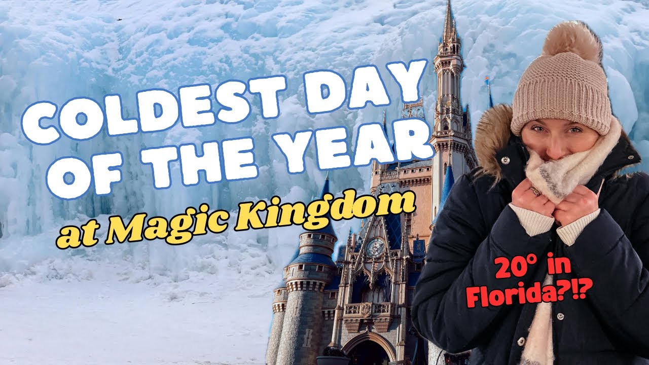 COLDEST DAY IN HISTORY AT DISNEY WORLD— Magic Kingdom and the NEW Starlight Parade 