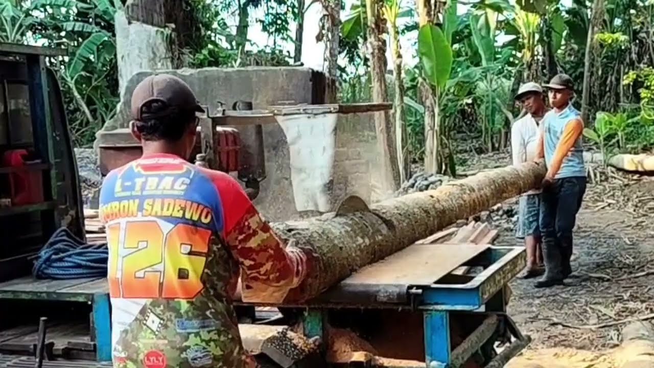 Penggergajian kayu kelapa dengan mesin serkel rakitan