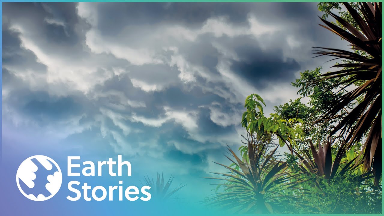 The Weather Problem That's Threatening The Galapagos | 1000 Days For The Planet