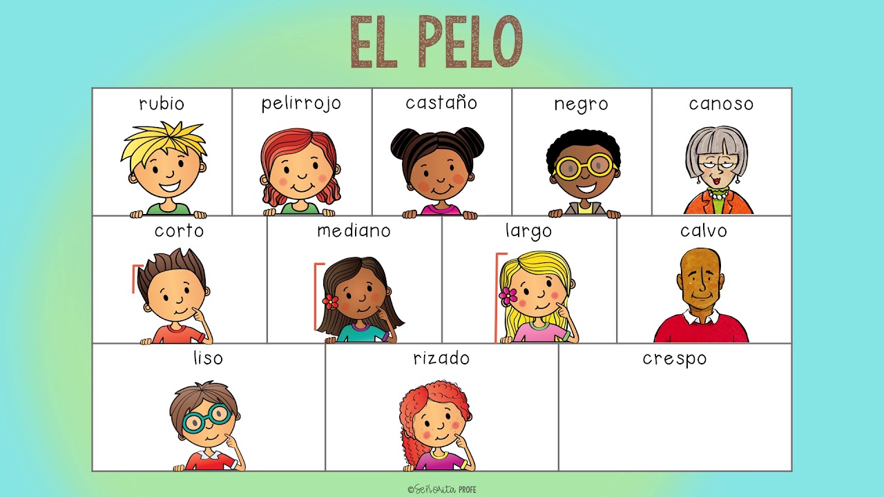 EL PELO - Spanish Hair Description