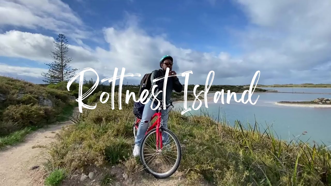 Bersepeda mengelilingi pulau Rottnest di Australia Barat