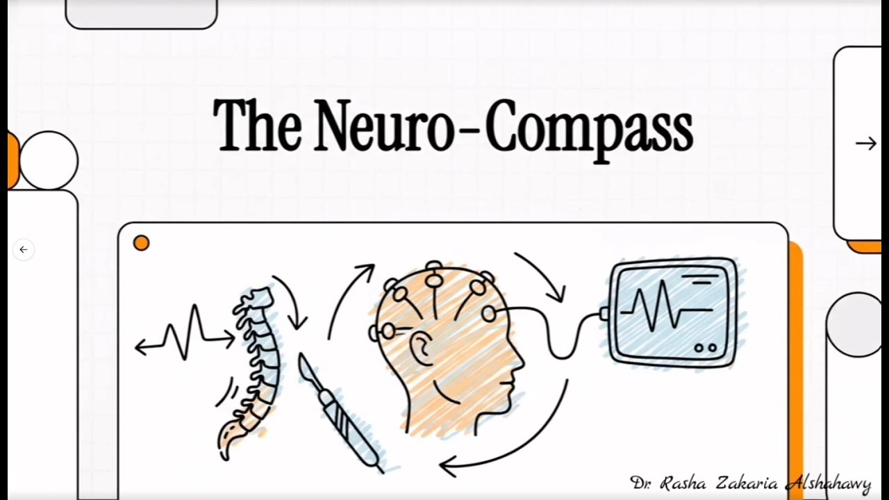 The Neuro-Compass: Somatosensory Evoked Potentials (SSEP)