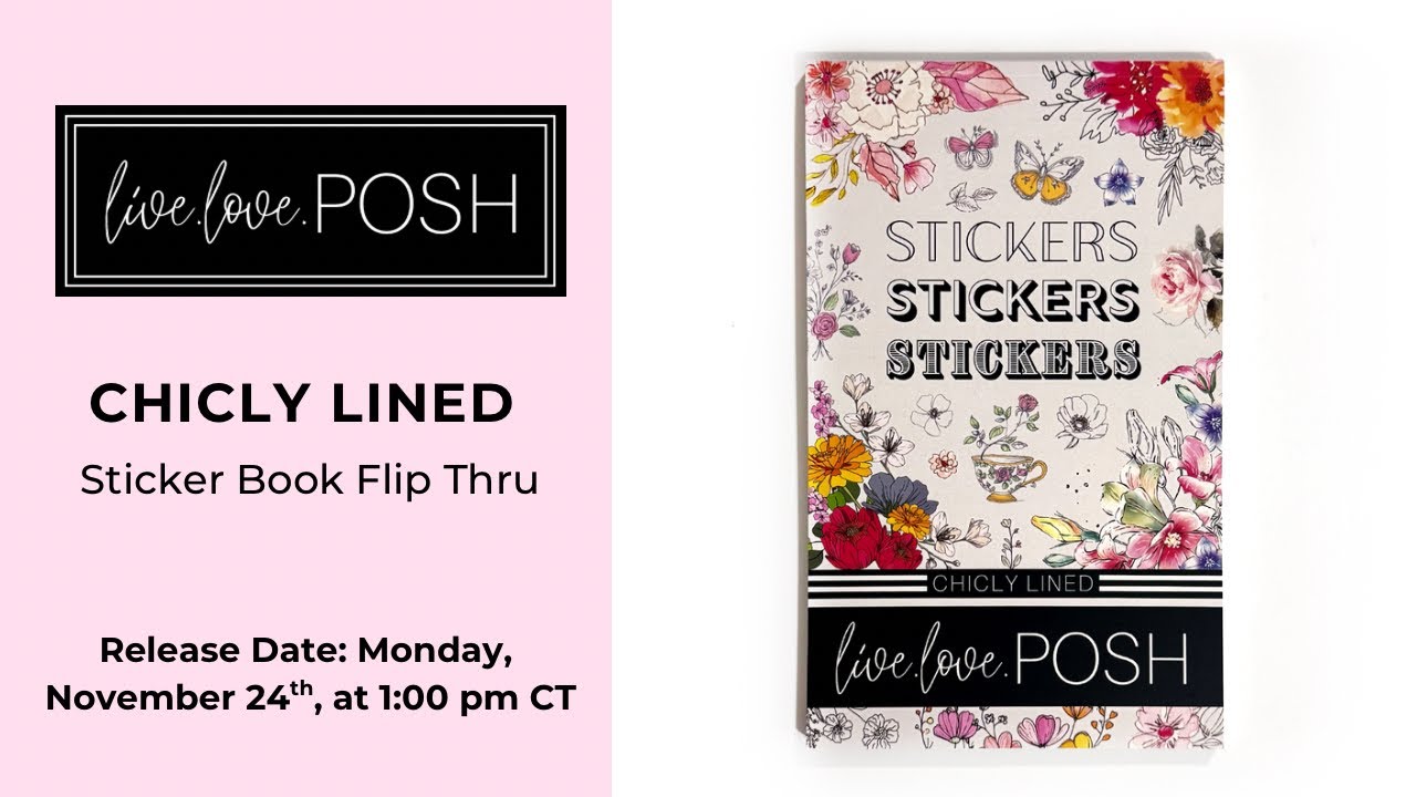CHICLY LINED STICKER BOOK FLIP THROUGH