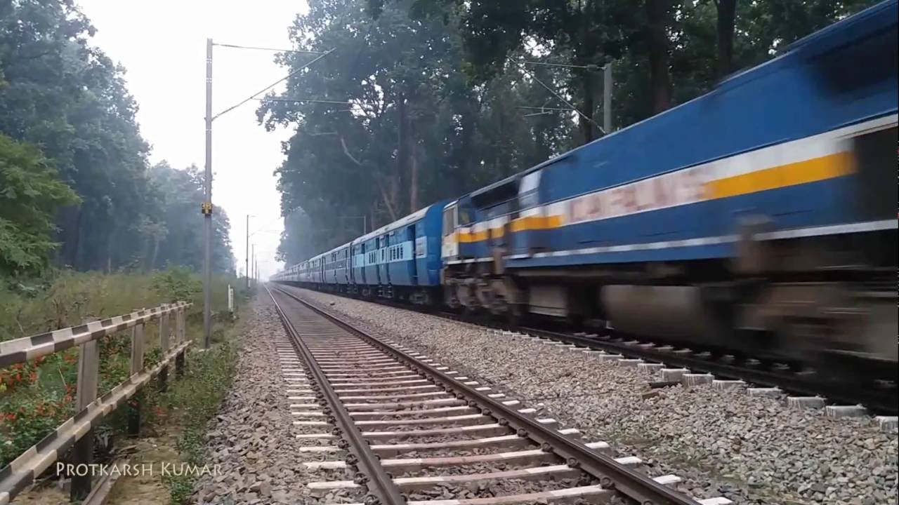 Whining WDP4D!!! 12553 Vaishali Express storms Kusmhi Jungle at a blistering pace!