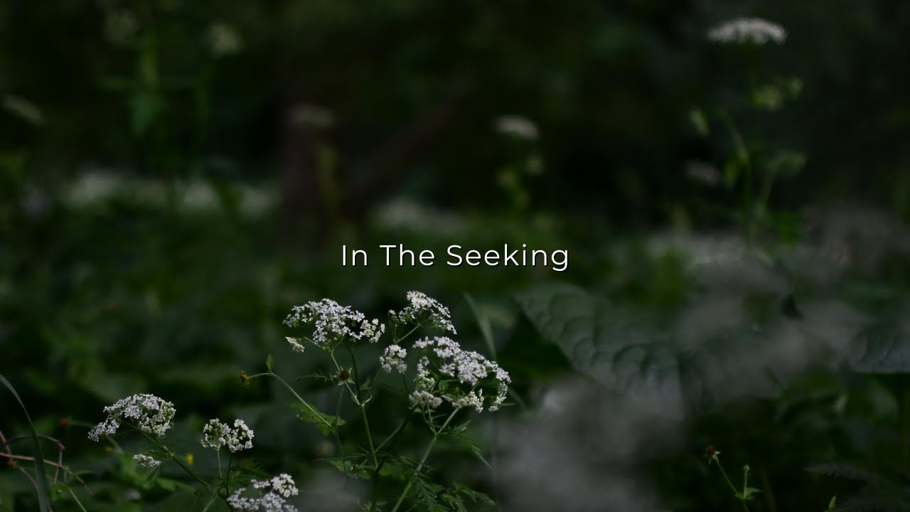 In The Seeking (Full EP) - Hillside Recording