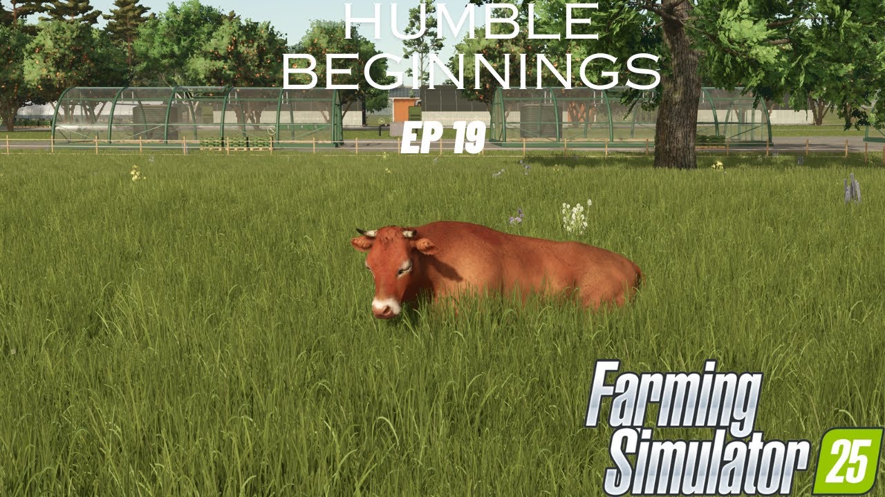 FS25/ Faithful Farmer: Humble Beginnings Episode 19