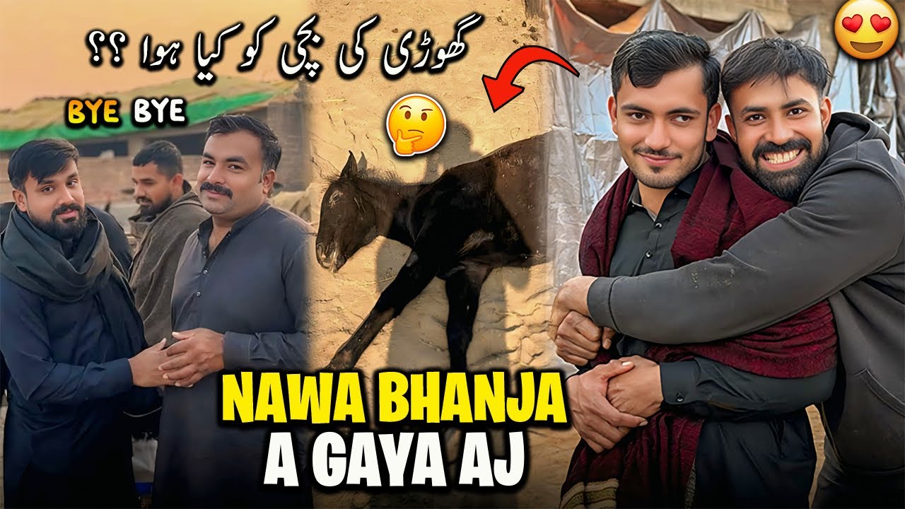 Lo G Aj Nawa Bhanja a Gaya 😍 Lahore Wala Bhai Wapis Chala Gaya | گھوڑی کی بچی ؟