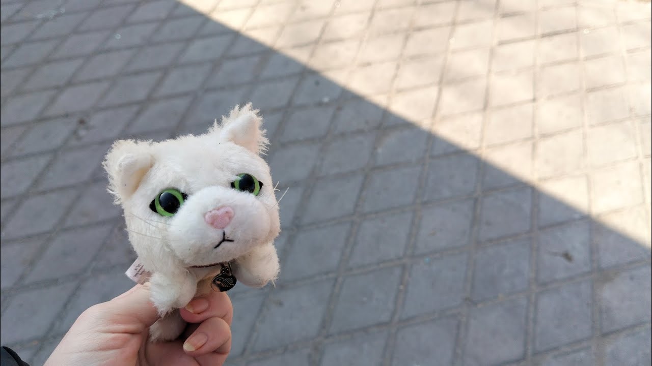 Путешествие в городской холодильник 10 февраля