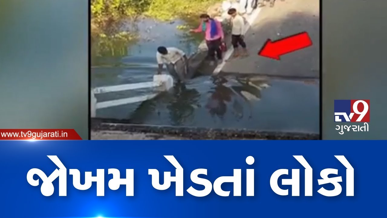Junagadh: Bridge near Malanka collapsed; No diversion forcing villagers to cross risky bridge | Tv9