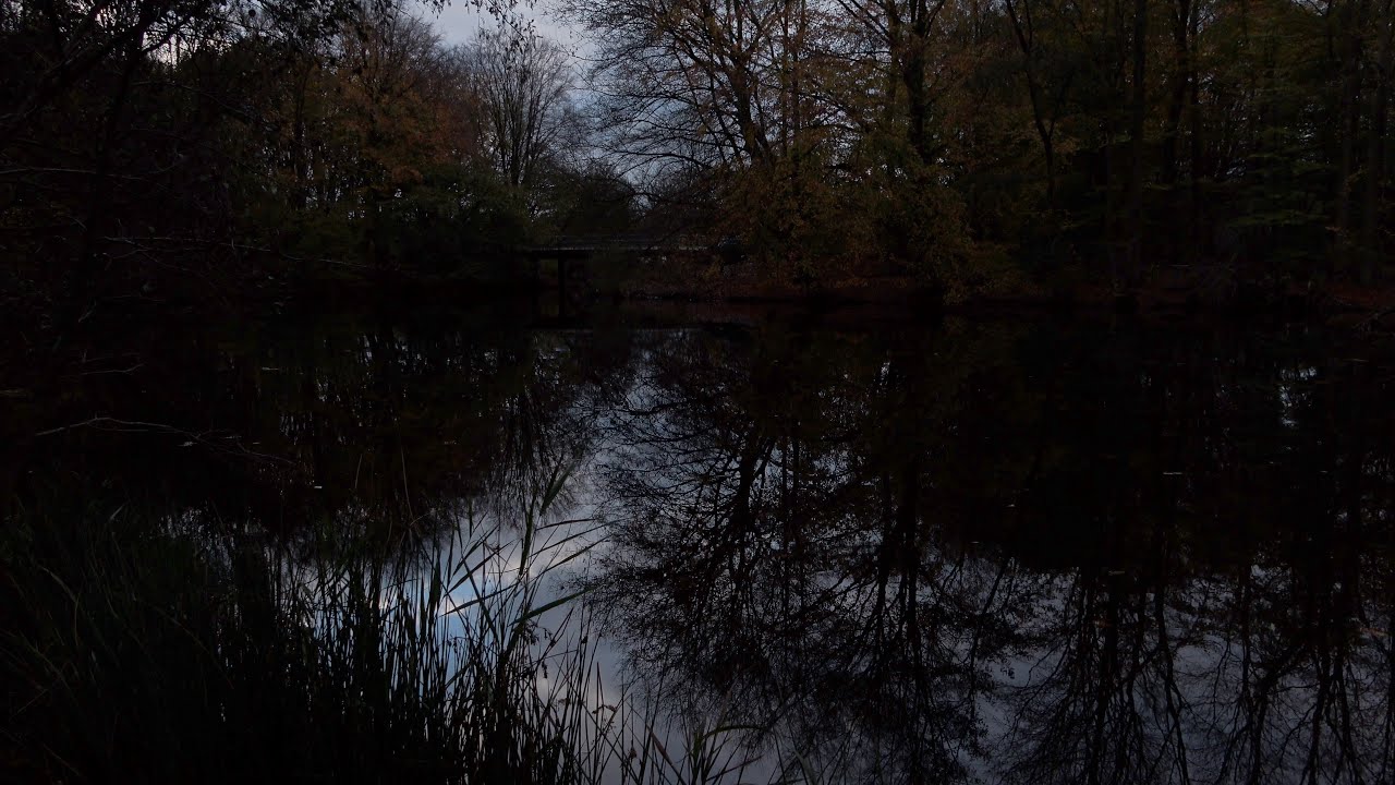 Amsterdamse Bos 181125