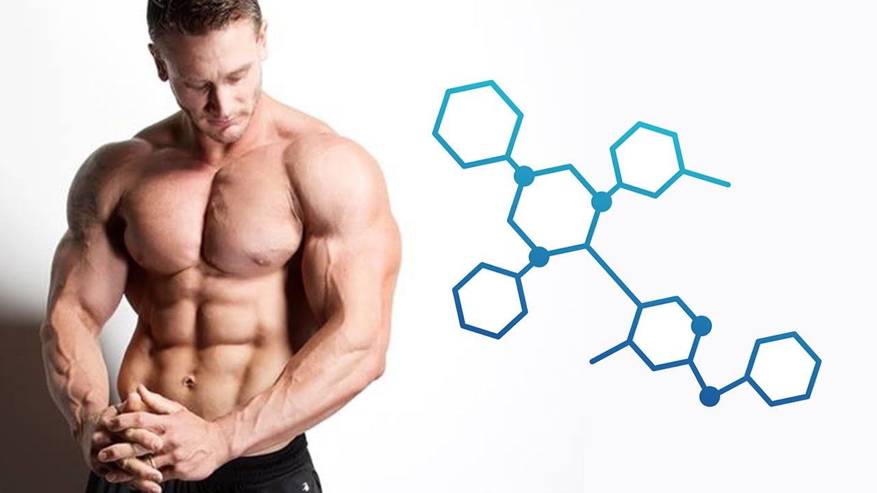 Estrogen & Cortisol - How These 2 Hormones Prevent Men From Losing Weight
