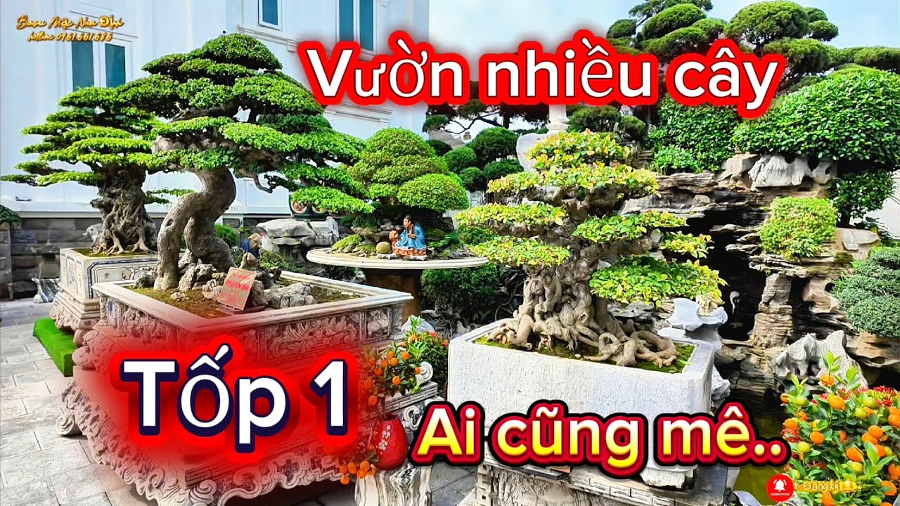 Vườn nhiều cây tốp 1 ai cũng mê mẩn