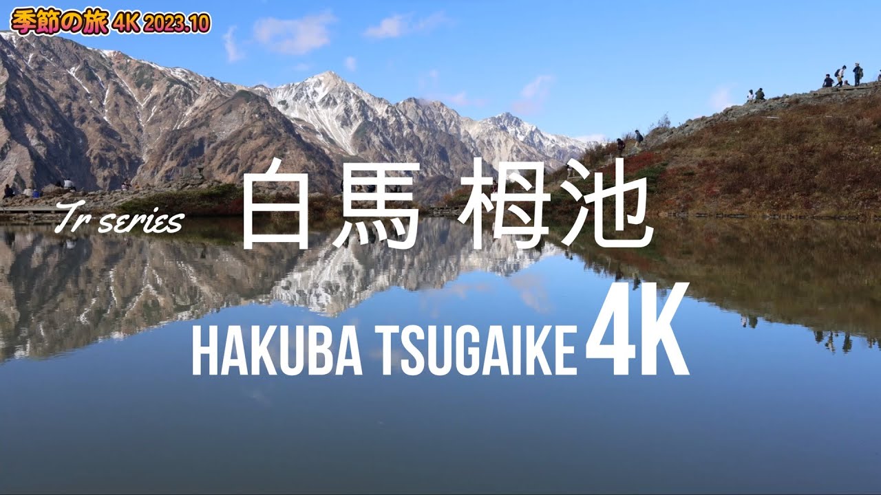 秋の白馬八方池・栂池自然園｜トレッキング🌳Autumn Hakuba Happoike/Tsugaike Nature Park | Trekking( Nagano, Japan) 4K🌳