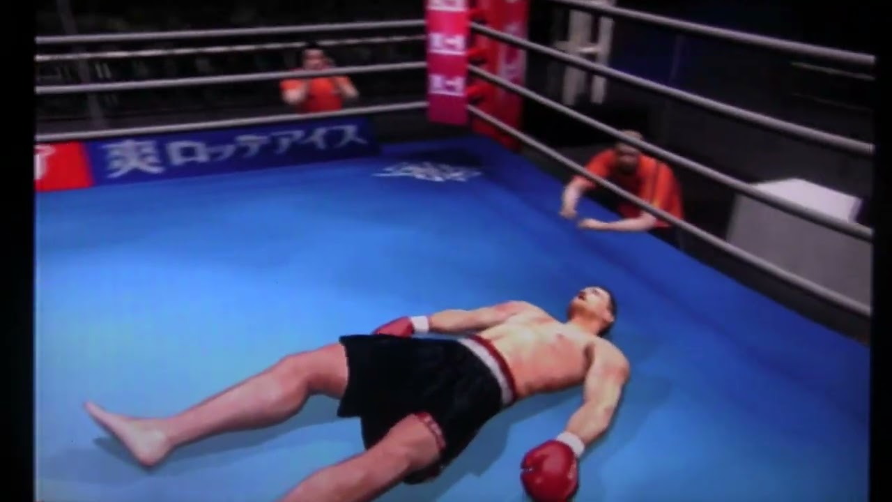 MIRKO CRO COP VS PETER AERTS