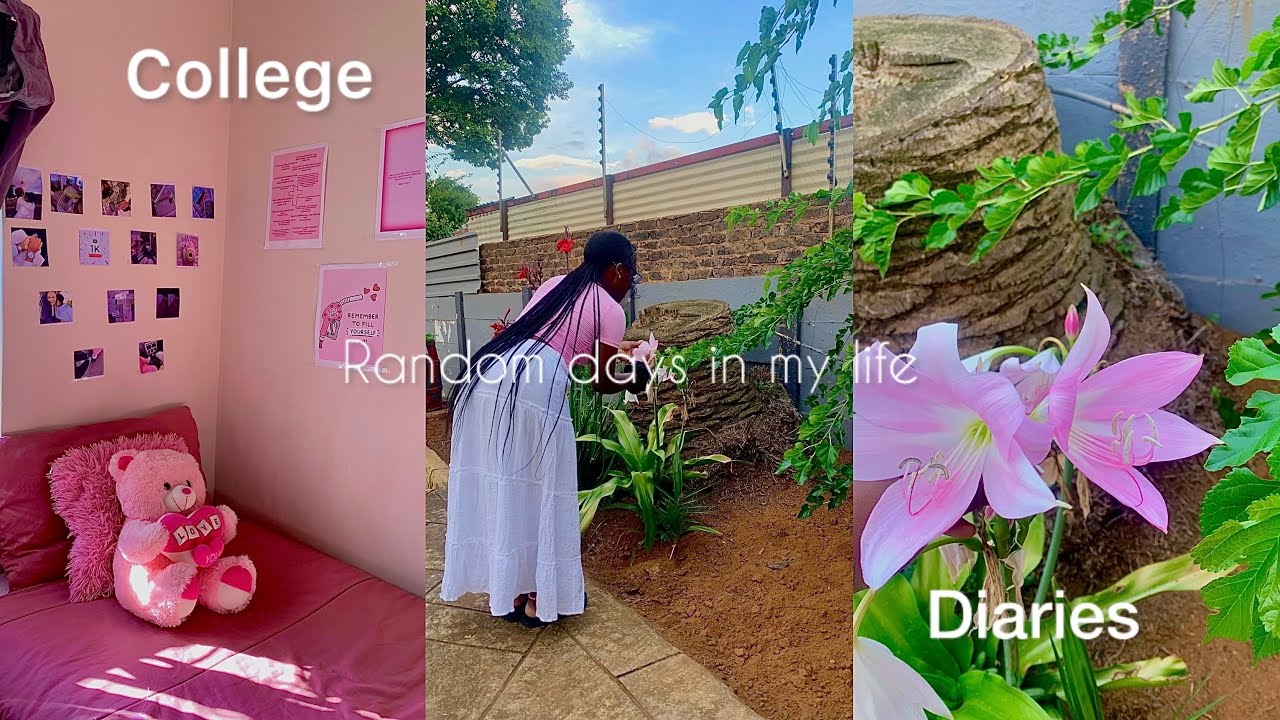 College Dairies| Back to books + slow days + novel time + mini chitchat…