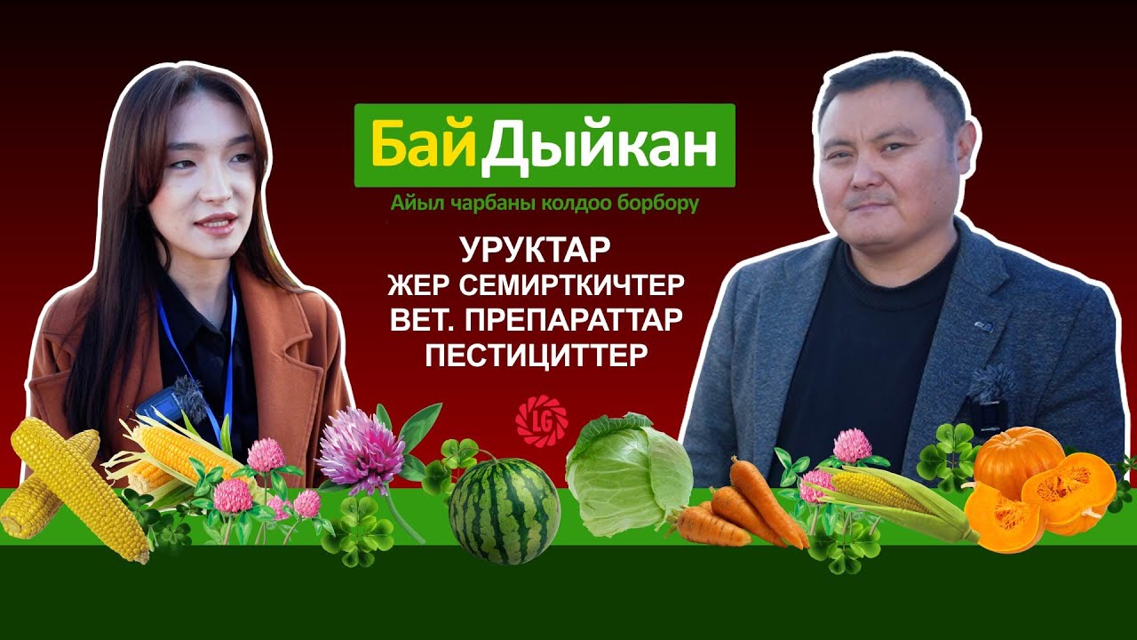 Жүгөрү, беде, уруктары жана жер семирткичтер, даары дармек баарын Бай Дыйкандан тапса болот.